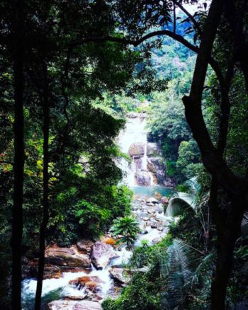 Nature sauvage, avec cascade et forêt luxuriante.